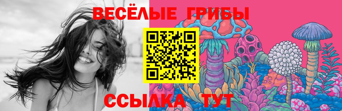 Галлюциногенные грибы прущие грибы Менделеевск