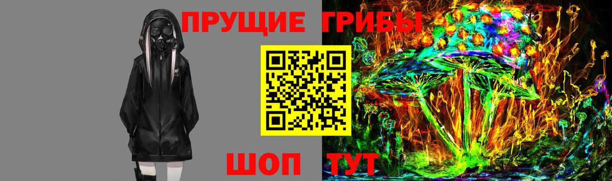 Менделеевск  Псилоцибиновые грибы мицелий  Псилоцибиновые грибы GOLDEN TEACHER  Вход с VPN 